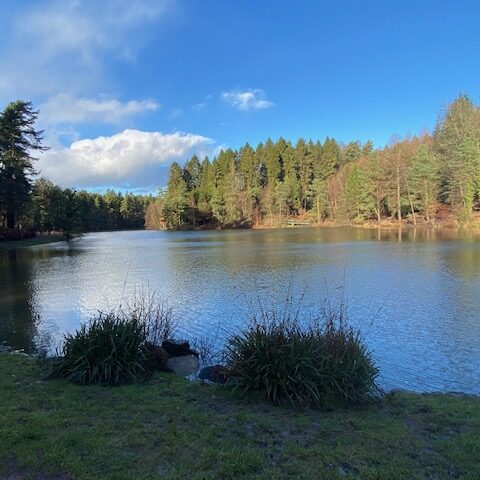 Mallards Pike Lake - Dog Friendly Holiday Cottage Wye Valley Forest of Dean Forest Holiday